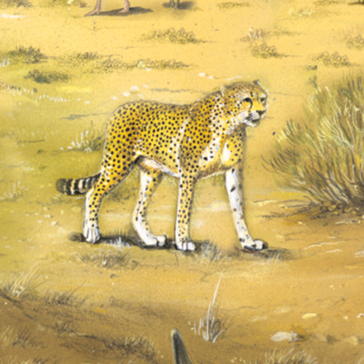 38_Gepard